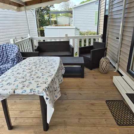 Rb19 Nina * ביסקארוס